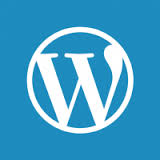 انتشار نسخه جدید WordPress SEO